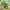 Disney Cosplay T-shirt Pria green photo 1