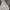 Jean-Michel Basquiat Minimalist Hoody Pria white black photo 2
