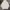 Marvel Minimalist Hoody Pria white photo 1