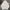 Marvel Minimalist Hoody Pria White