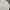 Marvel Minimalist Hoody Pria white photo 2