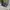 Nike Minimalist Sneakers Pria black photo 2