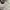 Adidas Indie Casual Sneakers Wanita silver white photo 3