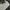 Adidas Indie Casual Sneakers Wanita silver white photo 5