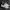 Adidas Indie Casual Sneakers Wanita purple white photo 2