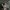 Adidas Indie Casual Sneakers Pria gray photo 1