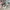 Nike Sportswear Sneakers Pria pink gray photo 2