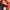 C.P. Company Casual Hat Pria orange photo 4