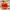C.P. Company Casual Hat Pria Orange
