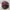 C.P. Company Casual Hat Pria burgundy photo 4
