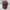 C.P. Company Casual Hat Pria burgundy photo 1