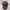 C.P. Company Casual Hat Pria Burgundy