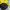 Nike Air Jordan Casual Hat Pria black photo 6