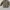 Vintage Windbreaker Kids tan photo 1