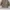 Vintage Windbreaker Kids tan photo 2