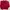 Polo Ralph Lauren Luxury Minimalist Crop top Wanita red photo 1