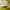 Nike Vintage Sportswear Jersey Pria green yellow photo 5