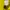 Nike Vintage Sportswear Jersey Pria green yellow photo 6