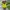 Nike Vintage Sportswear Jersey Pria green yellow photo 2