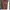 ZARA Vintage Midi Dress Wanita Burgundy Brown