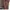 ZARA Vintage Midi dress Wanita burgundy brown photo 1
