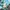 thisisneverthat Streetwear Sportswear Hoody Pria blue photo 8
