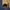 Pancoat Streetwear Sportswear Hoody Pria yellow photo 2
