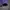 Pancoat Streetwear Sportswear Hoody Pria purple photo 3