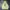 Puma Streetwear Sportswear Hoody Pria yellow photo 1