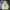 Puma Streetwear Sportswear Hoody Pria Yellow