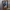 Casual Puffer jacket Pria blue photo 4