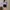 Ninette Sabrina Lilac Top  photo 5