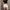 Celana Pendek Abstract Hotpants  photo 3