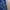 Descente Sportswear Casual Track jacket Pria navy photo 5