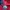 Sportswear Casual Track jacket Pria red photo 6