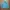 Sportswear Casual Track jacket Pria blue photo 1