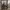 Beverly Hills Polo Club Gorpcore Casual Trench coat Pria green photo 5
