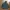 Beverly Hills Polo Club Gorpcore Casual Trench coat Pria green photo 2