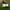 Adidas Casual Sneakers Pria gold white black photo 3