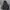 The North Face Gorpcore Sportswear Puffer jacket Pria black photo 2