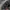 The North Face Gorpcore Sportswear Puffer jacket Pria black photo 4
