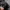 The North Face Gorpcore Sportswear Puffer jacket Pria black photo 8