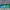 Oakley Vintage Y2K Glass Pria green blue photo 3