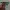 Oakley Vintage Y2K Glass Pria green blue photo 5