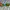 Oakley Vintage Y2K Glass Pria green blue photo 1