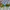 Oakley Vintage Y2K Glass Pria Green Blue