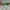Oakley Vintage Y2K Glass Pria green blue photo 2