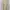H&M Minimalist Casual Shirt Wanita multicolor photo 1