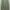 ZARA Minimalist Casual Blazer Wanita green photo 1