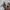 Topten Sweatshirt Pria cream photo 5